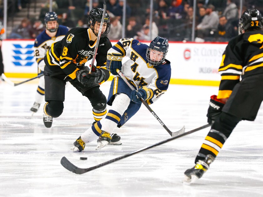 Warroad vs Hermantown_1033.jpg