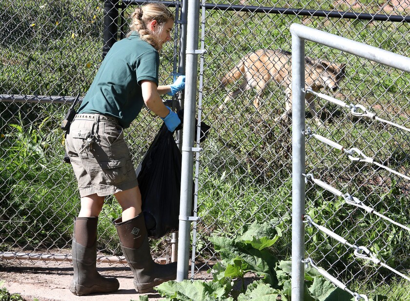 092521.n.dnt.Zoo4.jpg