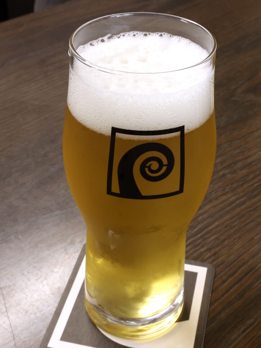 A glass of beer.