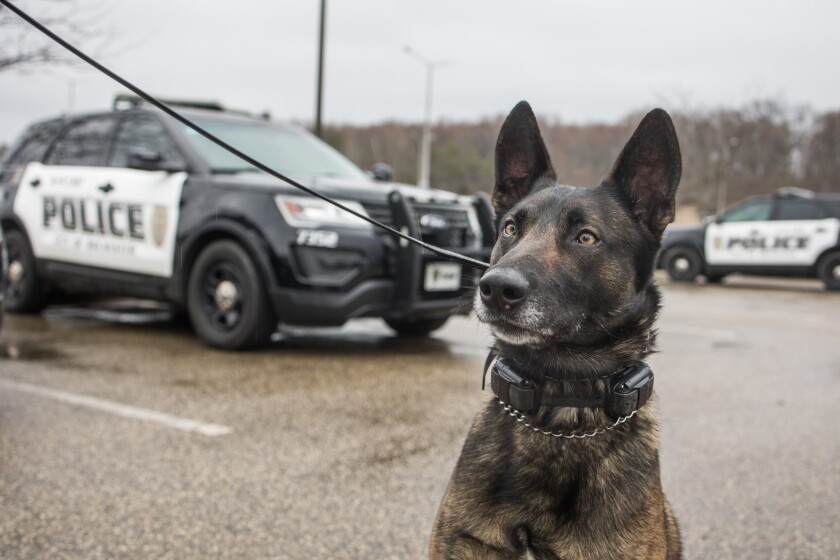 Lower Mn Rpd 'We hope we never find what we’re trained to find' - Post Bulletin ...