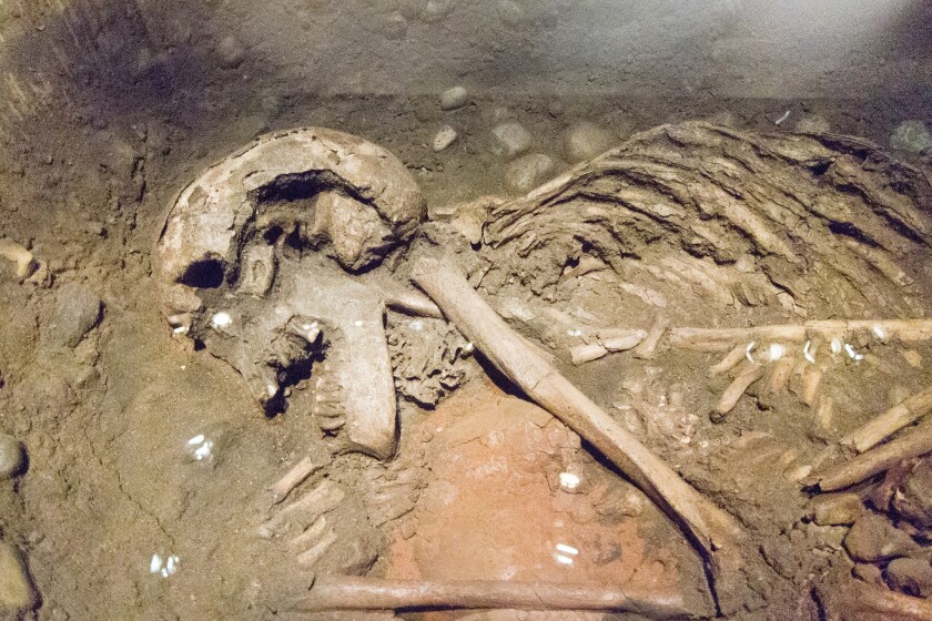 Remains from Viking Warrior's Grave Identified as Female
