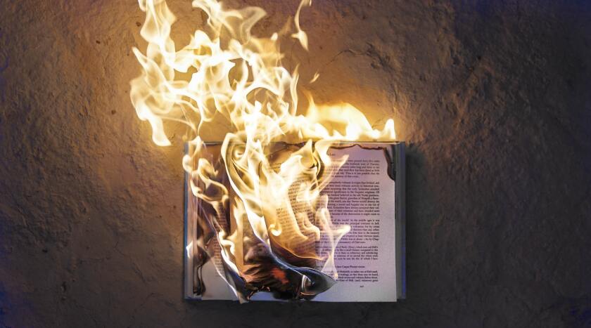 book burning.jpg