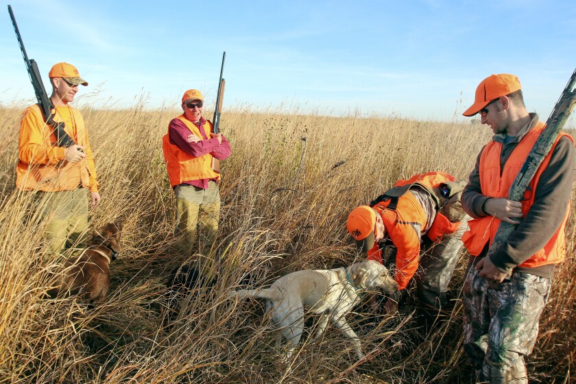 Most Minnesota smallgame hunter numbers fall again