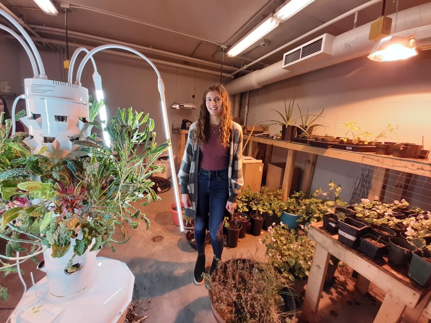 Minnesota university growing vegetables and FFA membership even though aiding feed neighborhood - Agweek 2 Alexa Blume with the grow tower at West Central Area High School.