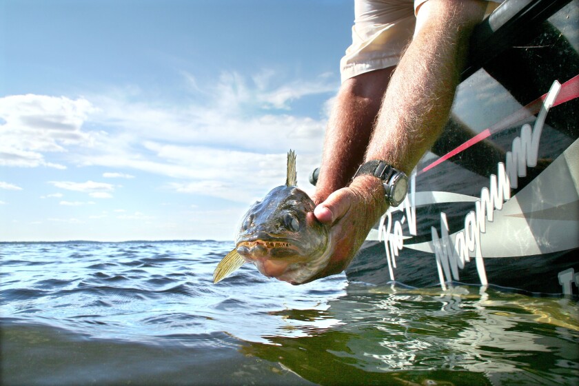 Tips You Must Follow to Make the Most of Your Oregon Fishing Trip