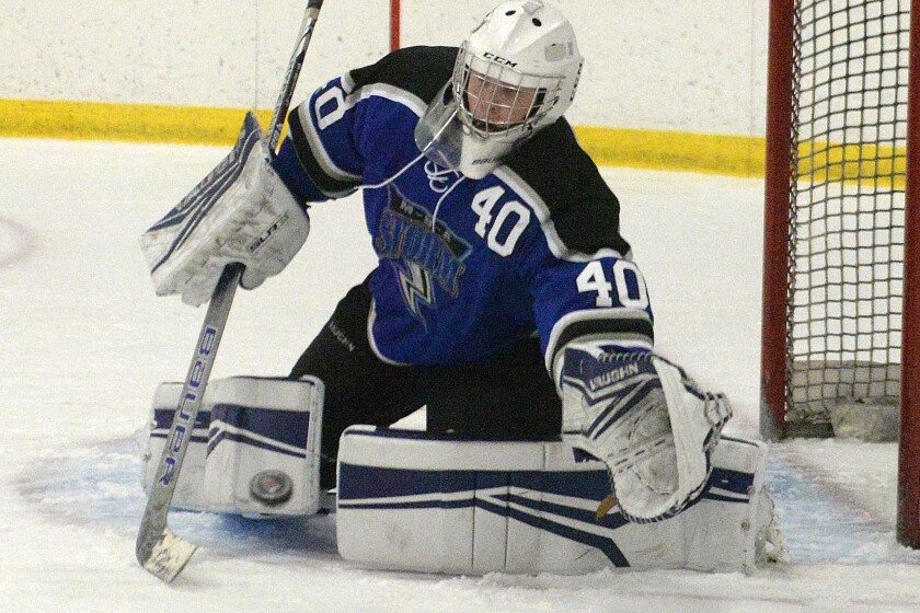 Hockey roundup: Late MBA Storm goal dooms Willmar Cardinals West Hockey roundup: Late MBA Storm goal dooms Willmar Cardinals West