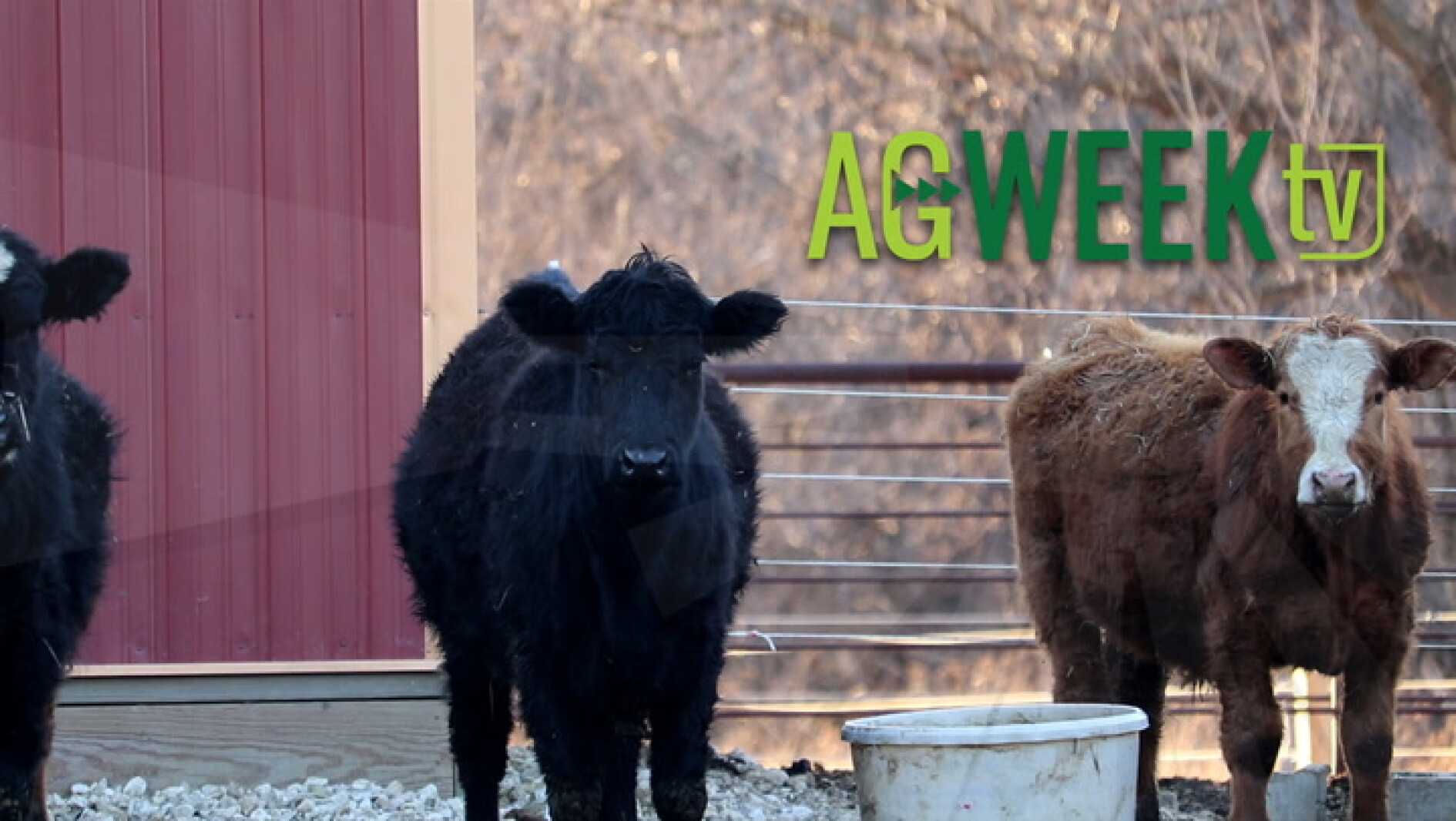 Meat processing in Minnesota