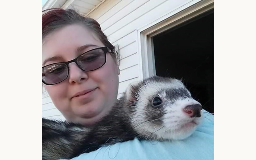 Bumpy Ferret Leathery, bumpy and furry: Twin Ports tips on exotic pets - Duluth News ...