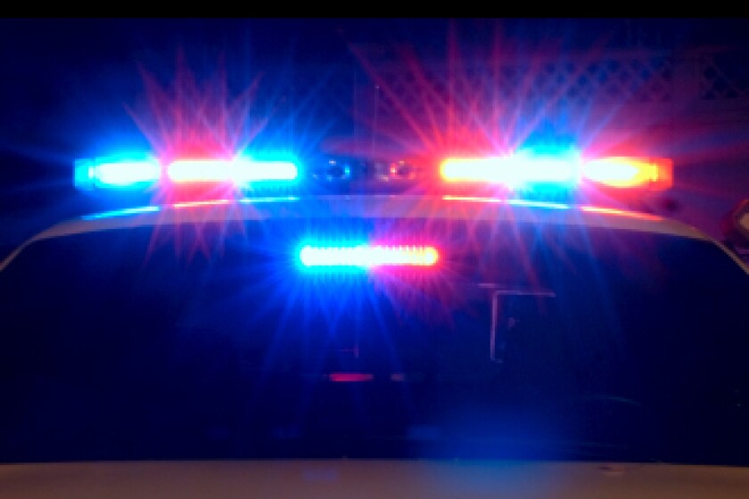 3338804+police.jpg