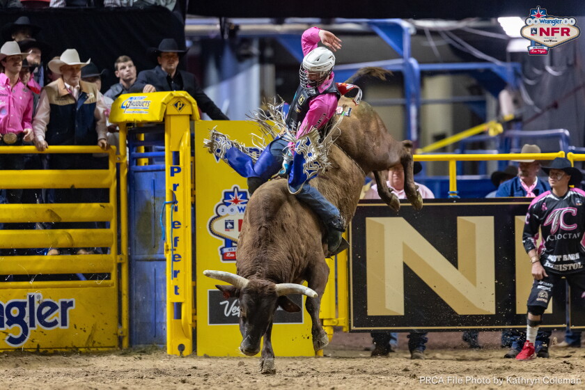 Mason Moody finishes eighth on average in bull riding at National ...