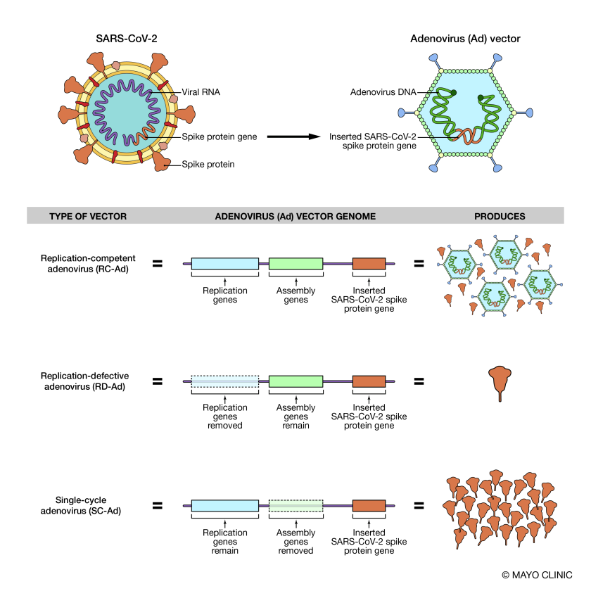 COVIDVirus_Platform_v03 (1).png