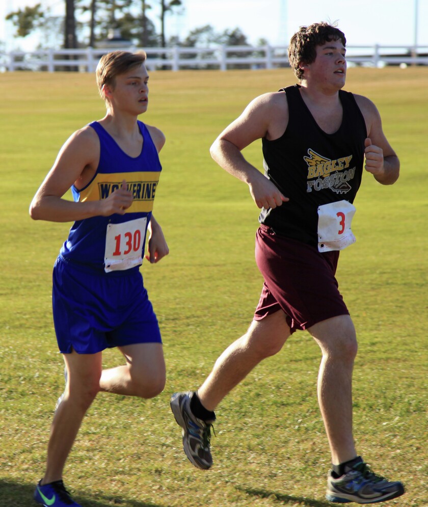 WDC harriers finish seventh, eighth in Section 8A - Wadena Pioneer ...