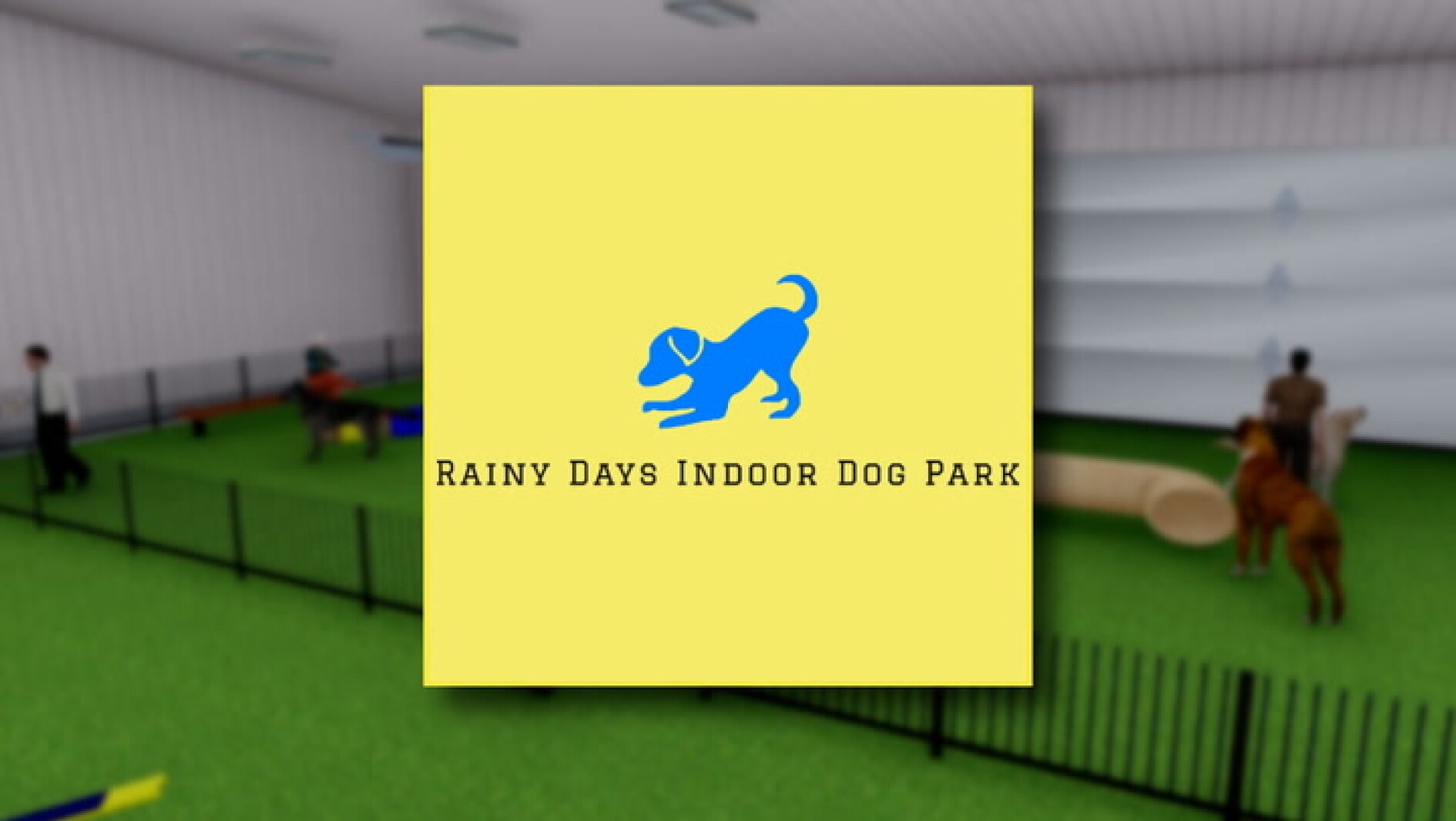 Indoor Dog Park aims to give dogs a comfortable place to play InForum