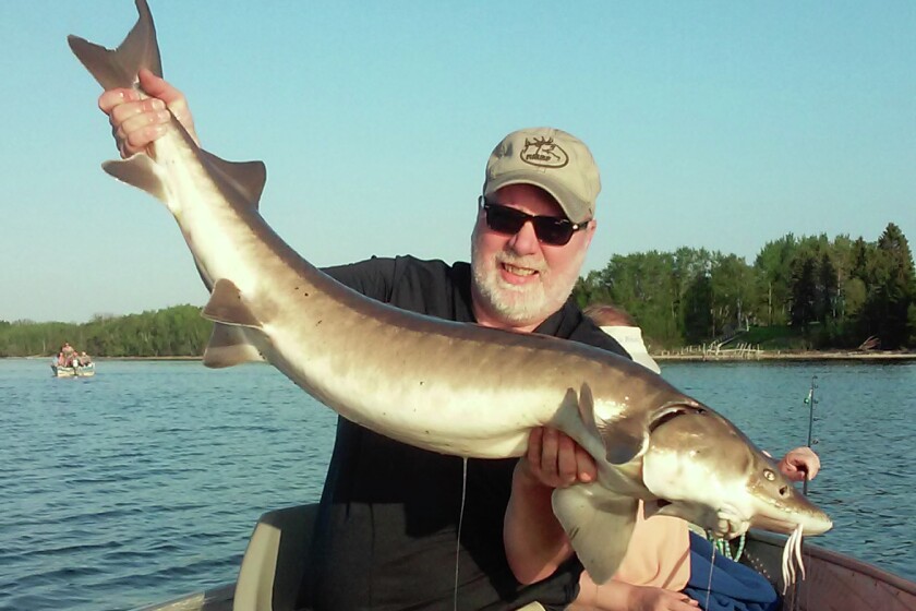 2620040+Joyce Warnken sturgeon.jpg