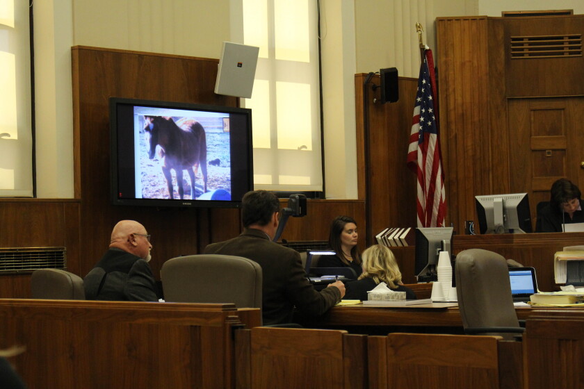 Sheriff, ranch hand testify at hearing for neglected ND animals Sheriff, ranch hand testify at hearing for neglected ND animals