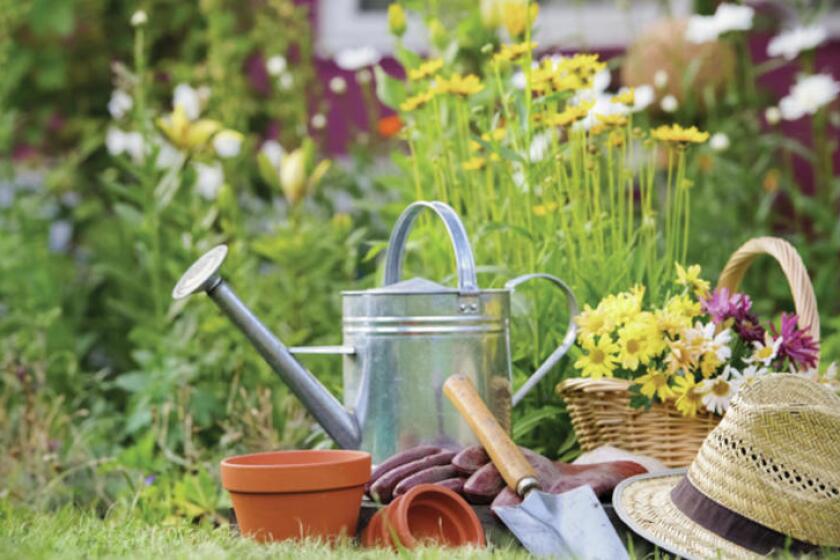 Why Garden Hats Matter - Minnesota State Horticultural Society