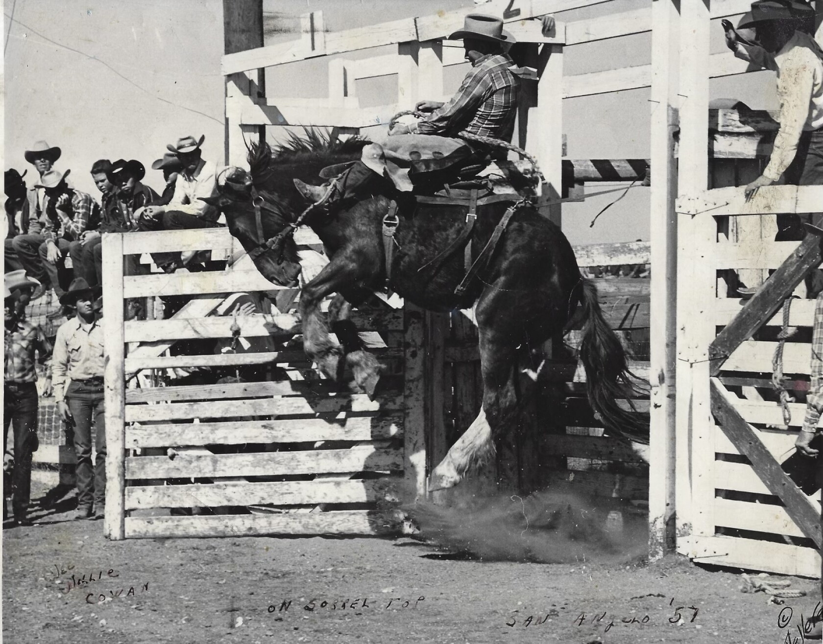 Legendary South Dakota rodeo family reflects on their wild rides ...