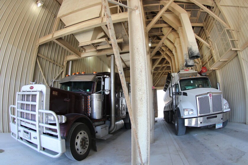 A wall in a loading bay separates the semi-trailer truck, left, being loaded with feed, and the one being unloaded with soy meal.