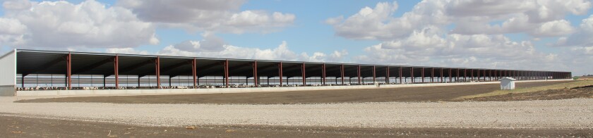060121.CB.DG.RRTHIERFEEDLOTS 3.jpg