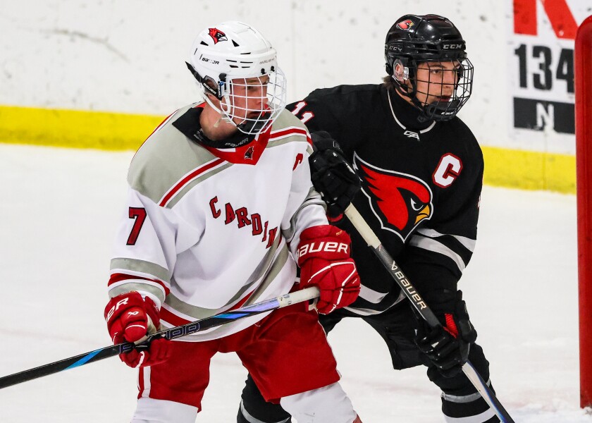 Alexandria vs. Willmar boys hockey, 010626-3.jpg