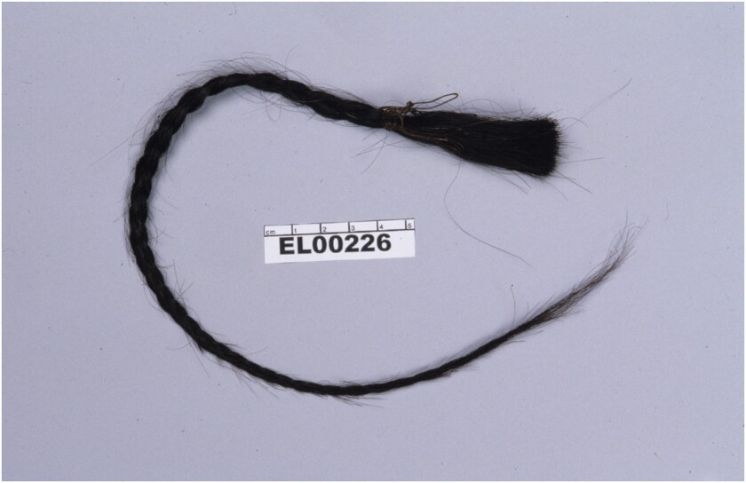 sitting-bull-scalp-lock.jpg