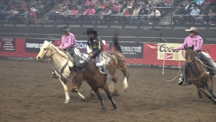 Rapid City cowboy Cooper Filipek scores 77 points in the bareback ...