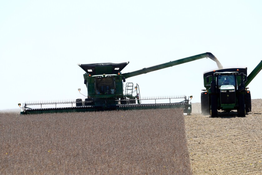 092521 N DG 2021 Bean harvest S1.jpg