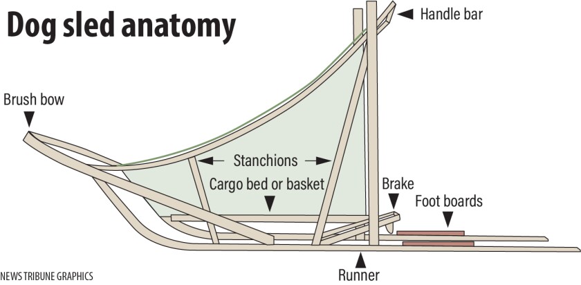 Dog sled anatomy.jpg
