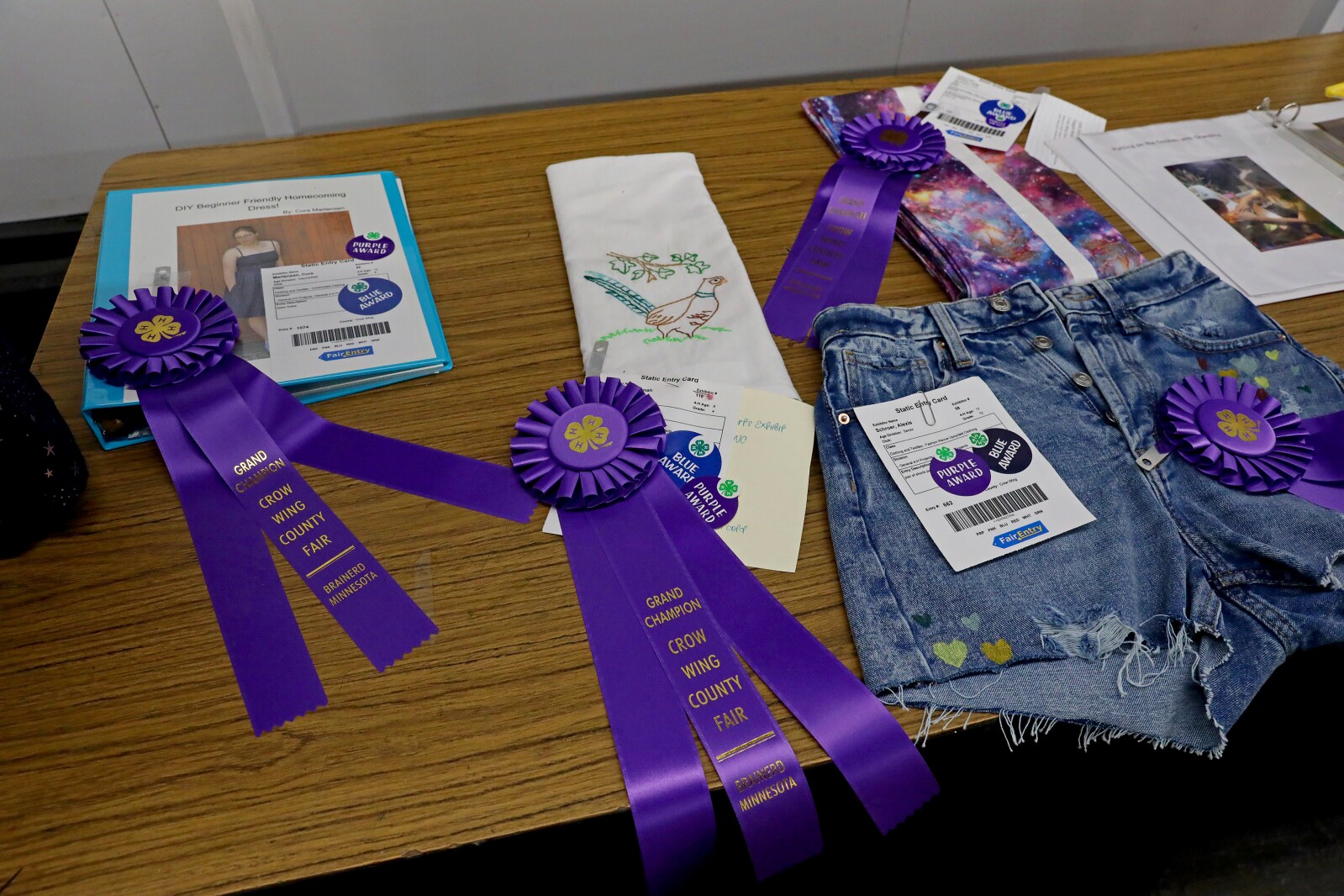 Crow Wing County Fair Aug. 2022.