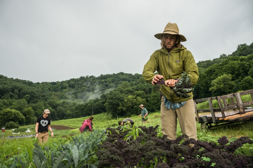 Bluff Valley Farm