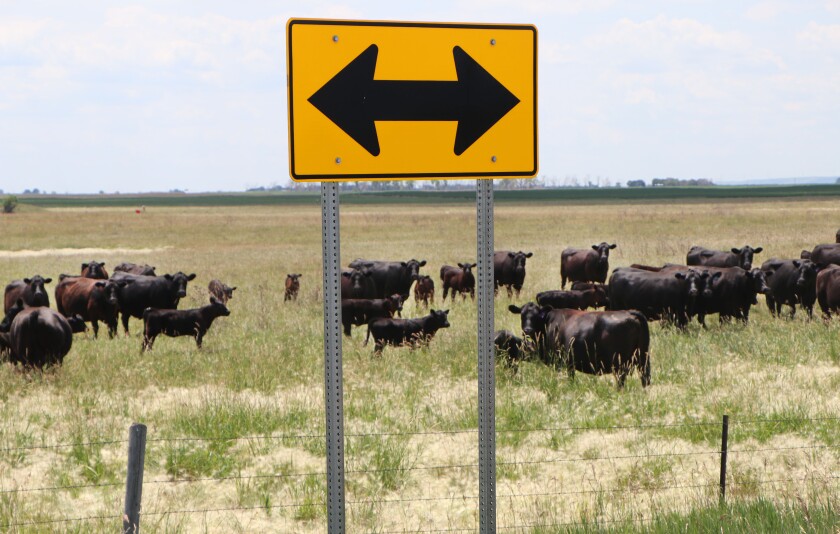 071921.AG.DroughtCountermoveAlpenaSD04.jpg