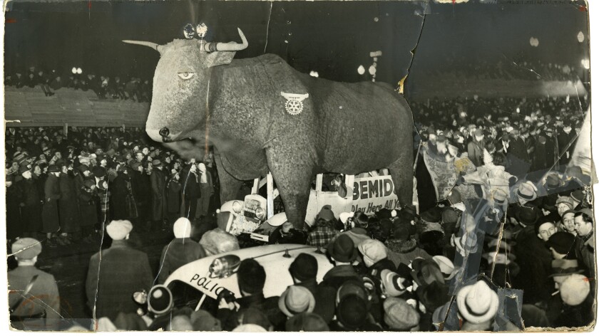Babe the Blue Ox on truck.jpg