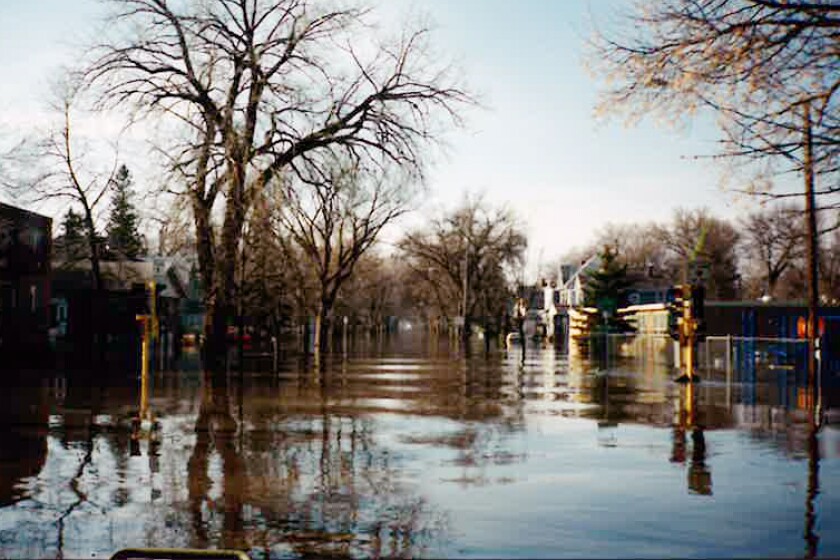 97Flood_Nicolson3.jpg