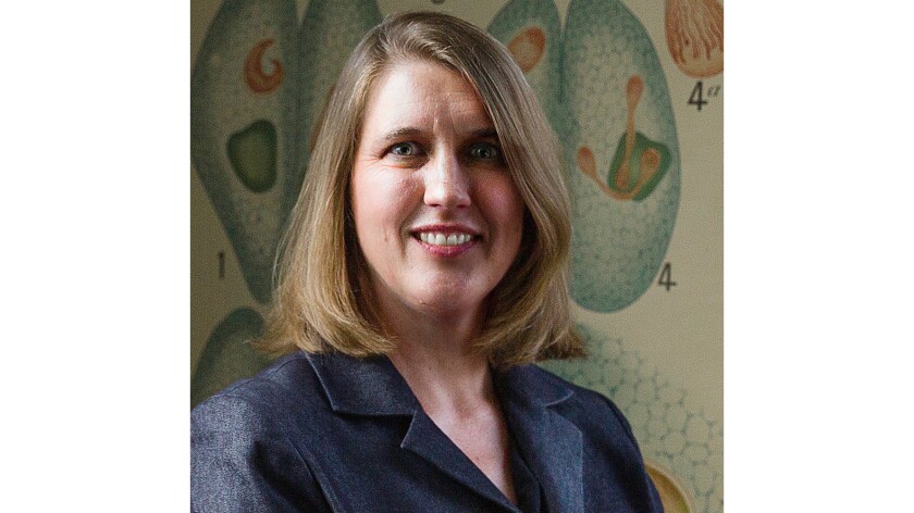Wendy Reed.jpg