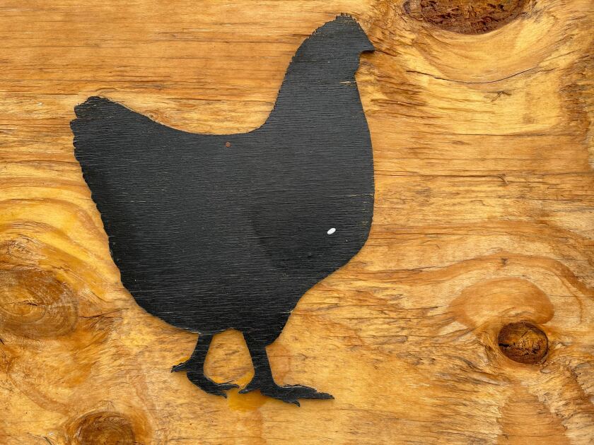 Wooden sign with black painted outline of a chicken.
