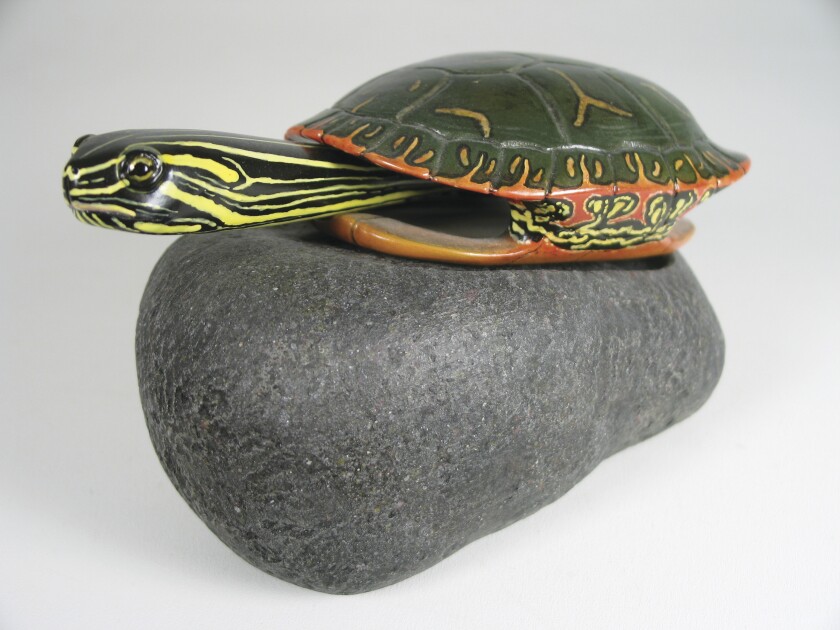 Pususta_Turtle_Slate1_DJL.jpg