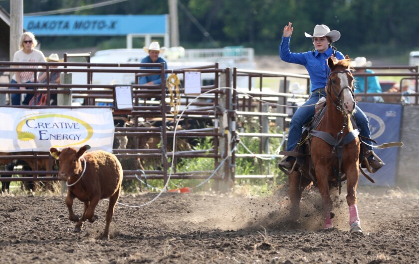 Greg Carlson excited for James River Rodeo to be back at the fair ...