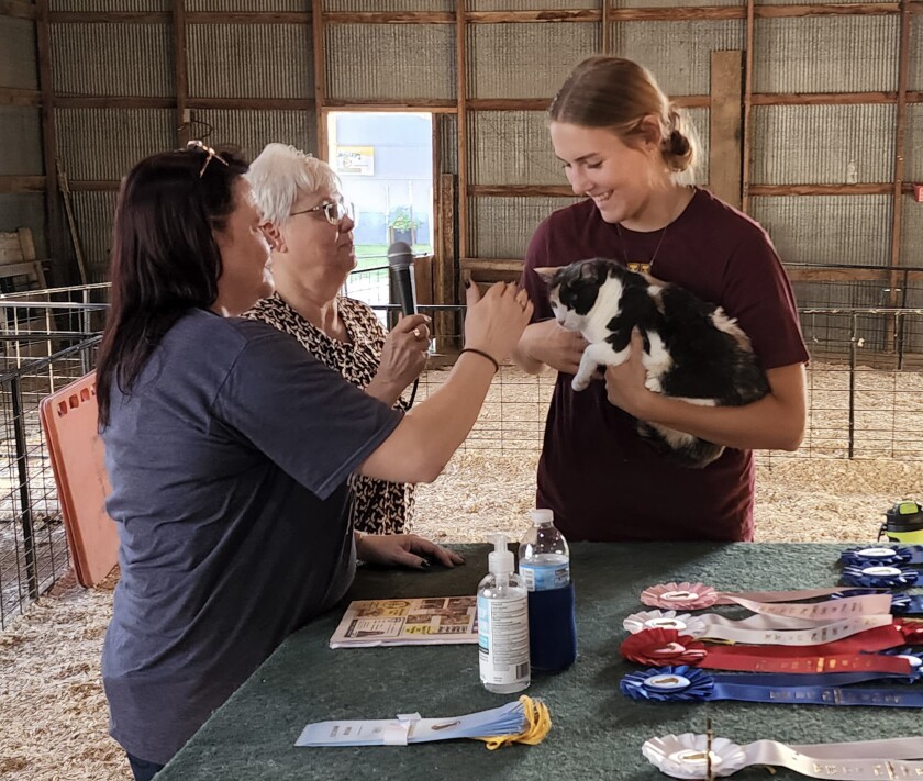 Judge Autumn Hunter, left, examines a calico during the Household Cat & Kitten Show on Wednesday, Aug. 10, 2022, at the Jesse Oleson Pavilion during the Cottonwood County Fair.