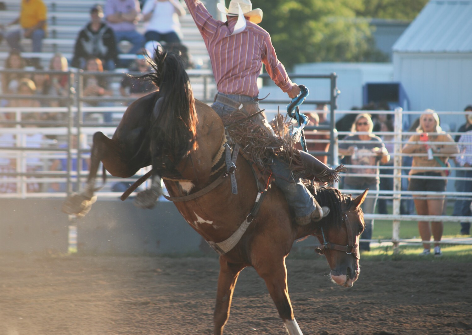 PHOTOS: Day one action of Shootout at the Lake rodeo - Mitchell ...