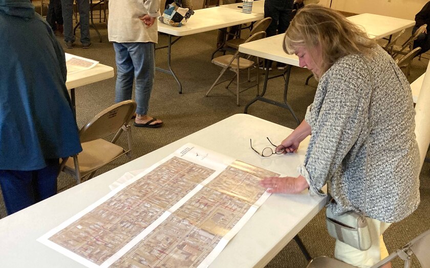 Woman studies a map