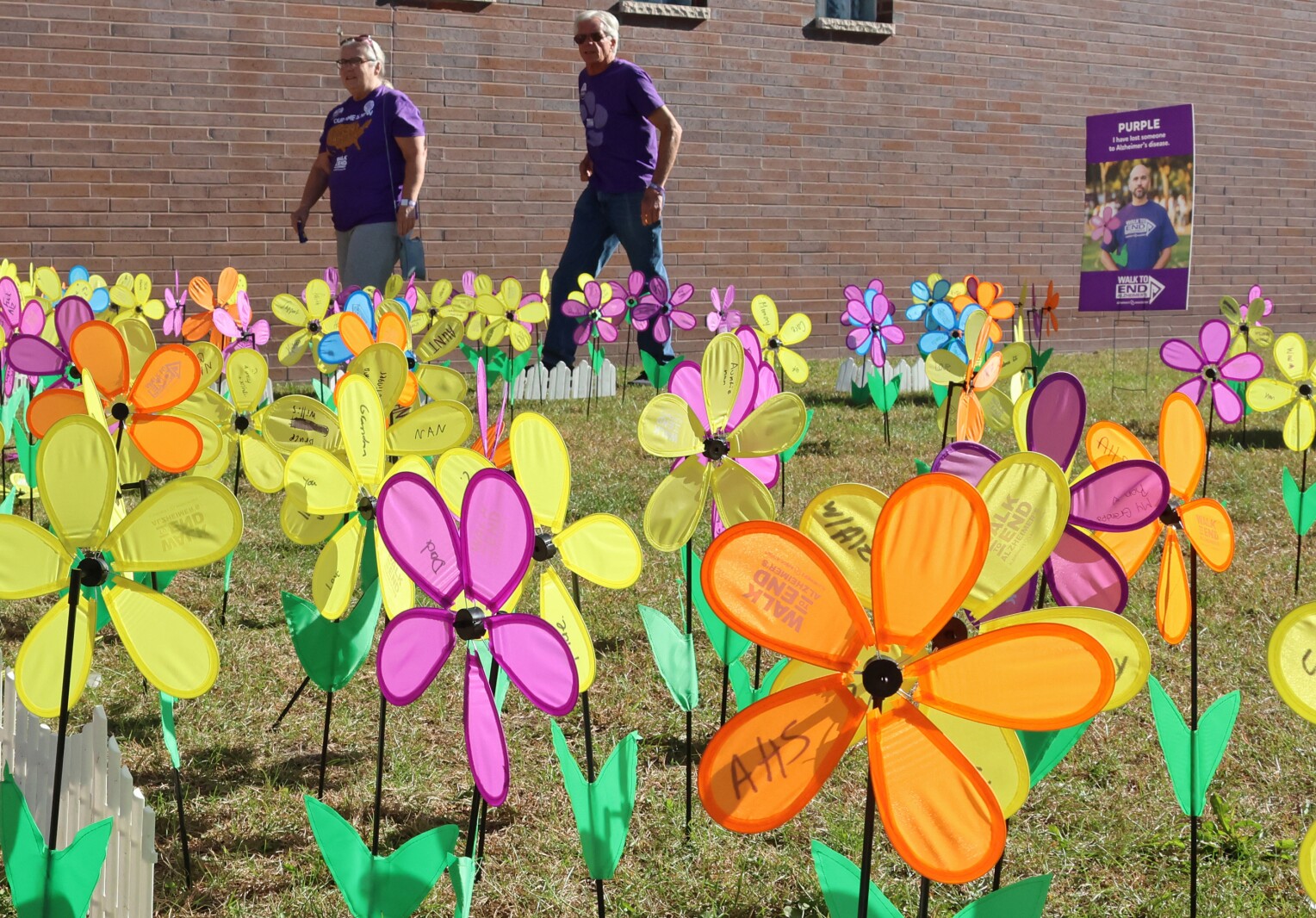 Walk to End Alzheimer's 2025 klick! Gallery - Brainerd Dispatch | News ...