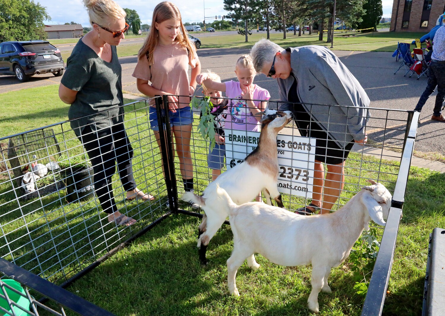 Goats at Bethlehem Evangelical Lutheran Church