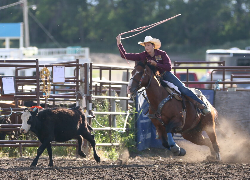 Breakaway Roping Rodeo Desktop A Few Extras: The photographer's view - Jamestown Sun | News, weather ...