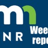 Minnesota DNR Report logo