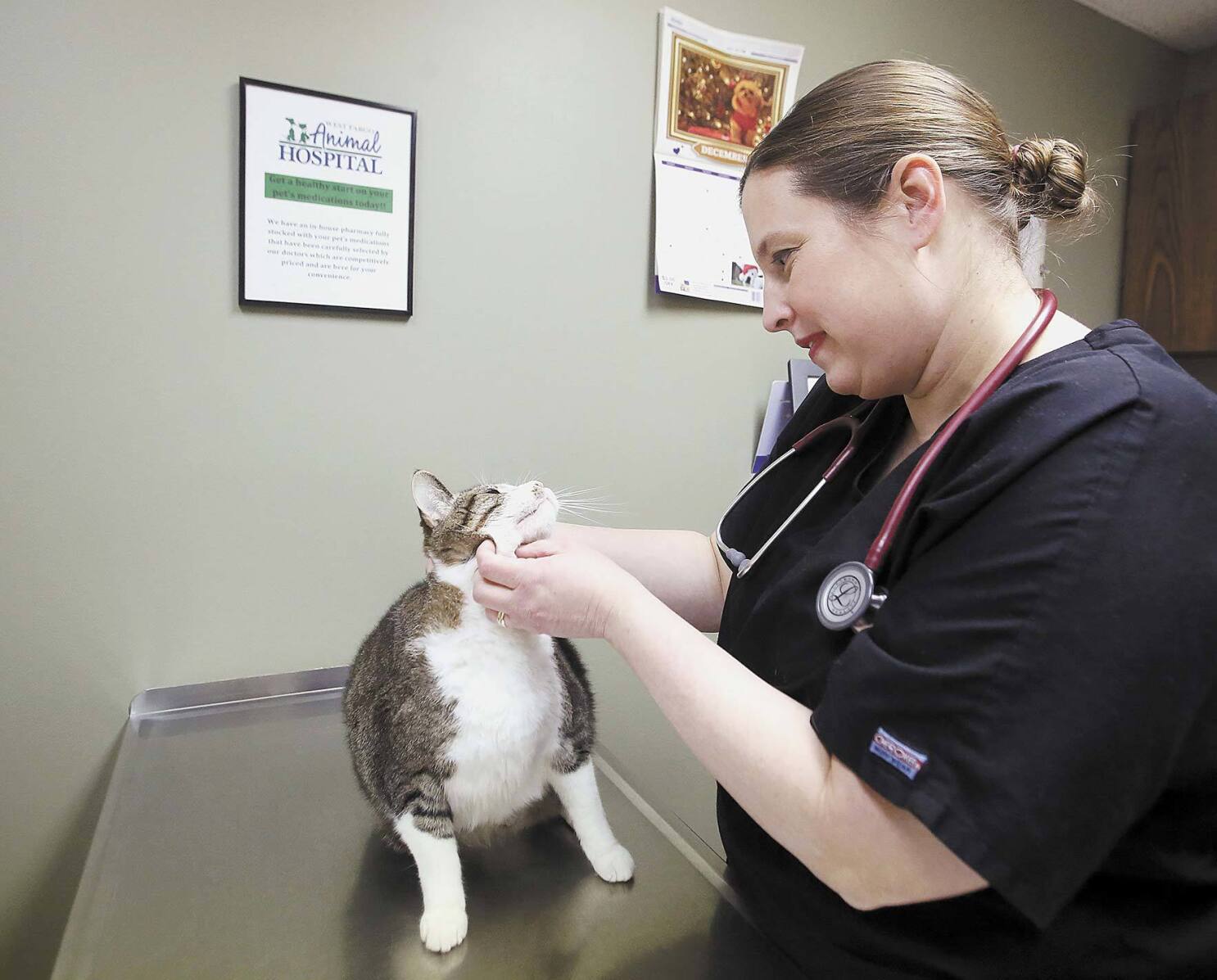 West Fargo Animal Hospital's new building adds space, amenities - InForum | Fargo, Moorhead and West Fargo news, weather and sports West Fargo Animal Hospital's new building adds space, amenities - InForum | Fargo, Moorhead and West Fargo news, weather and sports