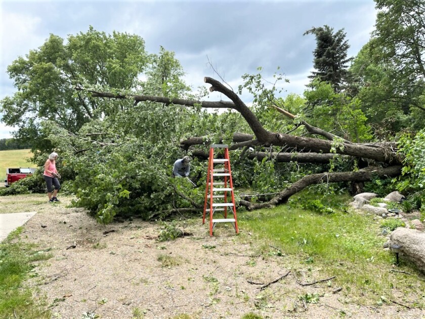 chainsaws.jpg