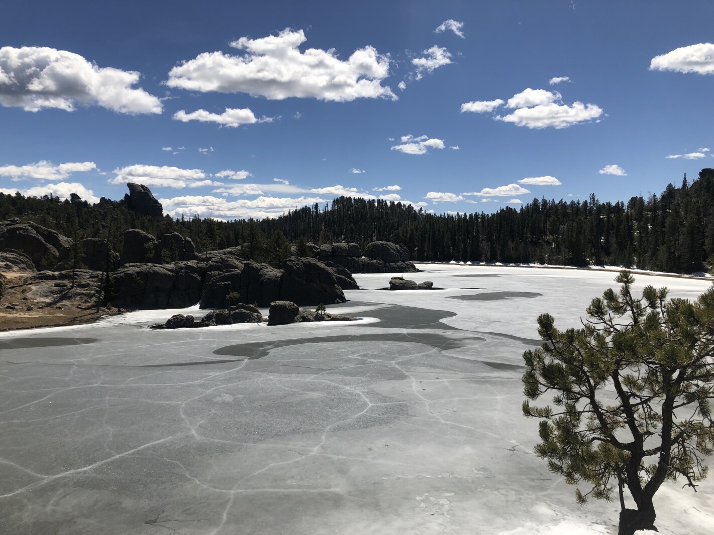 The Immediate Outlook: Sunday and Monday