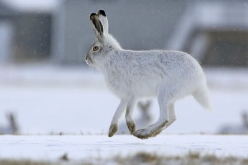 Latest Headlines | Mitchell Daily Republic