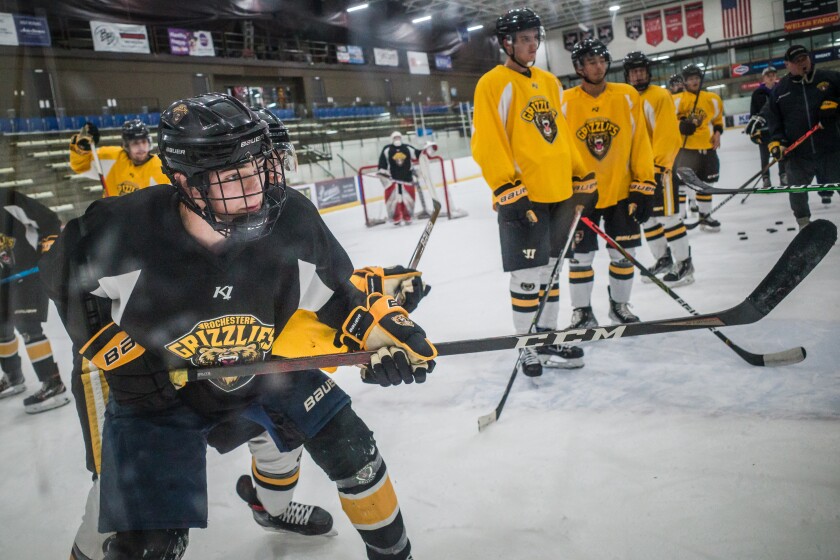 Rochester Grizzlies Leader Bauer Taking His Game To Alaska Post rochester-grizzlies-leader-bauer-taking-his-game-to-alaska-post