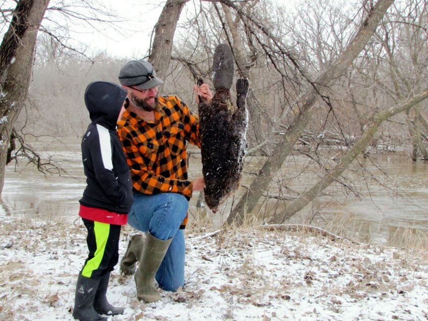 beavertrapping.jpg